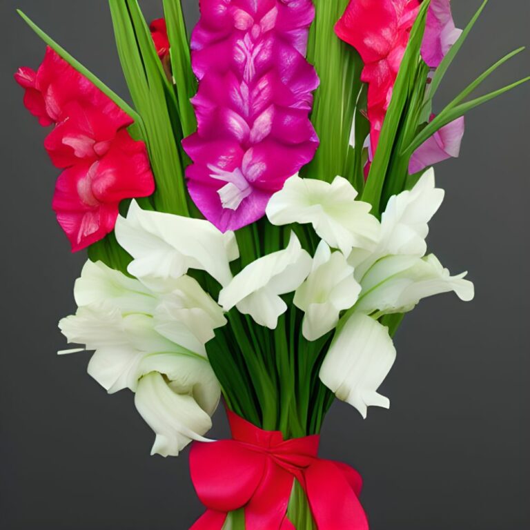 Gladiolenstrauß